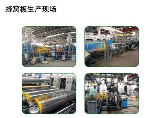 Cellular Structure Board Plastic Sheet Extrusion Line Pp Sheet Extrusion Machine